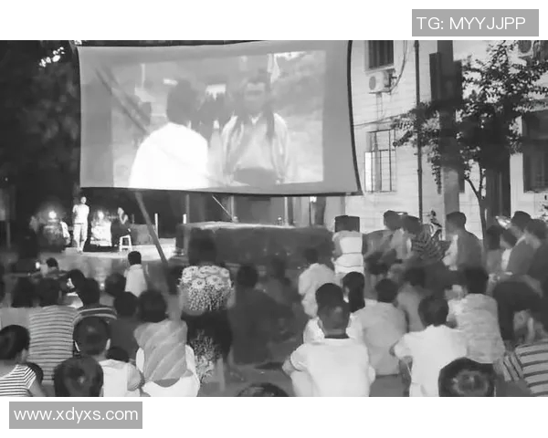 深度对话周磊探讨排球人生与运动精神的真实故事