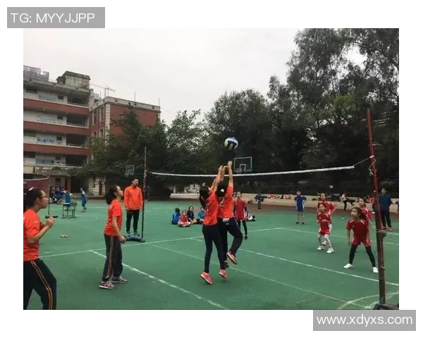 成都排球队在最新排球耐力排行榜中夺冠引发广泛关注与讨论
